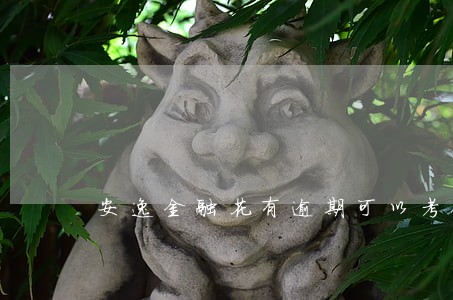 安逸金融花有逾期可以考银行吗 安逸金融花有逾期可以考银行吗