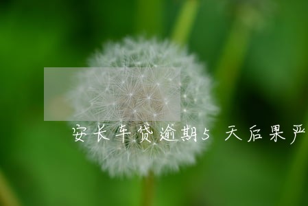 安长车贷逾期5天后果严重吗