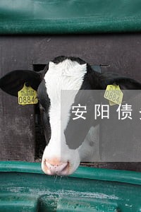 安阳债务纠纷律师咨询免费