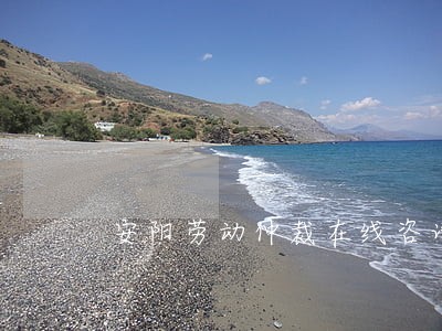安阳劳动仲裁在线咨询