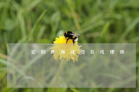 安阳外商投资在线律师 安阳外商投资在线律师
