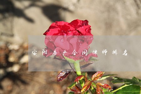 安阳房产合同律师排名 安阳房产合同律师排名