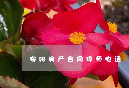 安阳房产合同律师电话 安阳房产合同律师电话