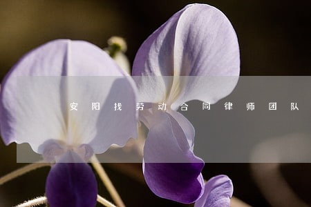 安阳找劳动合同律师团队 安阳找劳动合同律师团队