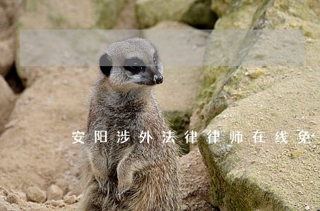 安阳涉外法律律师在线免费咨询 安阳涉外法律律师在线免费咨询