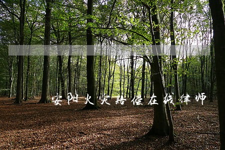 安阳火灾赔偿在线律师