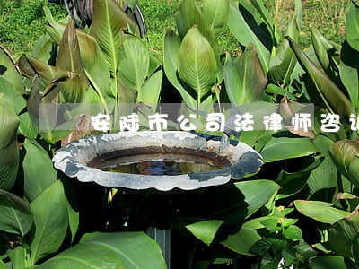 安陆市公司法律师咨询电话 安陆市公司法律师咨询电话
