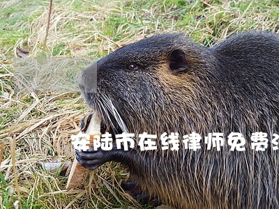 安陆市在线律师免费法律咨询 安陆市在线律师免费法律咨询