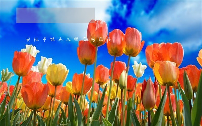 安陆市继承法律咨询热线 安陆市继承法律咨询热线
