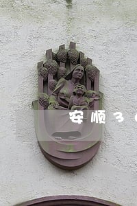安顺36辆违法车辆被曝光 安顺36辆违法车辆被曝光