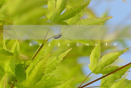 安顺交易合同纠纷律师 安顺交易合同纠纷律师