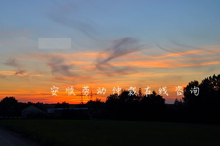 安顺劳动仲裁在线咨询 安顺劳动仲裁在线咨询