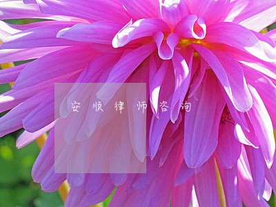 安顺律师咨询 安顺律师咨询