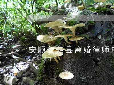 安顺普定县离婚律师电话咨询