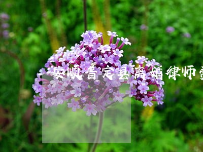 安顺普定县离婚律师费用 安顺普定县离婚律师费用
