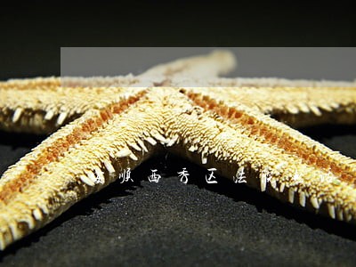 安顺西秀区法院电话 安顺西秀区法院电话