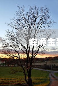 安顺金融证券律师在线免费咨询 安顺金融证券律师在线免费咨询