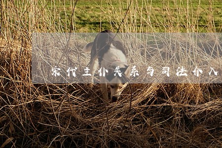 宋代主仆关系与司法介入 宋代主仆关系与司法介入