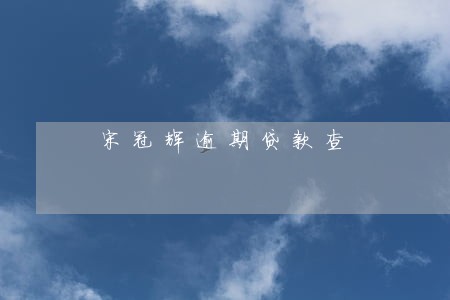 宋冠辉逾期贷款查 宋冠辉逾期贷款查