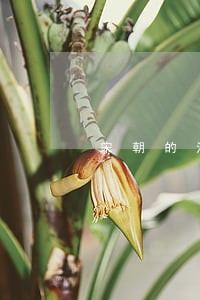 宋朝的法律条文 宋朝的法律条文