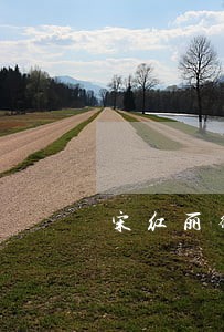 宋红丽律师解答了离婚 宋红丽律师解答了离婚