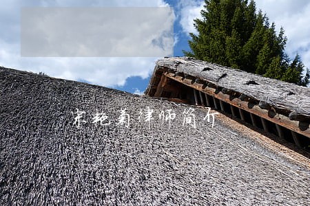 宋艳菊律师简介 宋艳菊律师简介