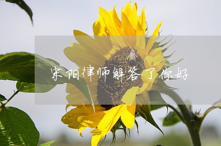 宋阳律师解答了你好 宋阳律师解答了你好