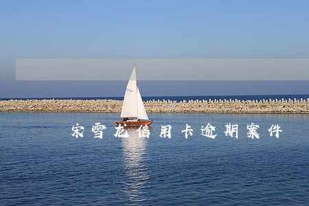 宋雪龙信用卡逾期案件 宋雪龙信用卡逾期案件