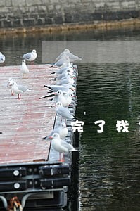 完了我信用卡逾期一周 完了我信用卡逾期一周
