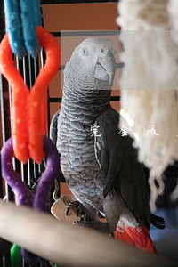 完全没主见的男人该不该离婚 完全没主见的男人该不该离婚