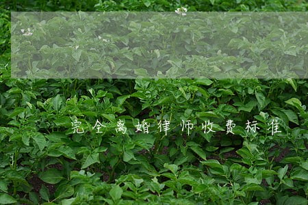 完全离婚律师收费标准 完全离婚律师收费标准