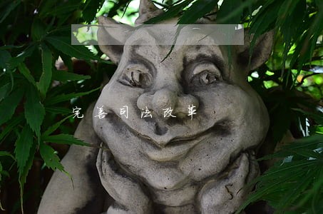 完善司法改革 完善司法改革