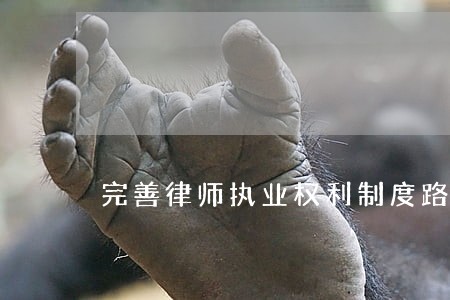 完善律师执业权利制度路径的思考