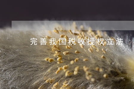 完善我国税收授权立法 完善我国税收授权立法