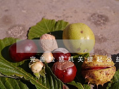 完善检察机关提起公益诉讼制度 完善检察机关提起公益诉讼制度