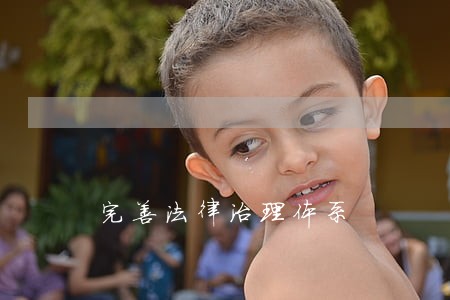 完善法律治理体系