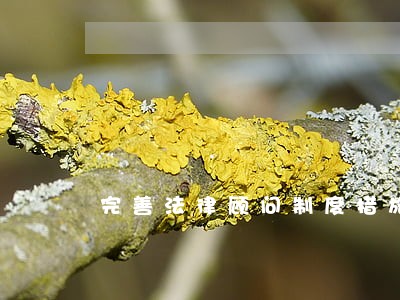 完善法律顾问制度措施 完善法律顾问制度措施