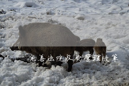 完善法院收费管理政策 完善法院收费管理政策