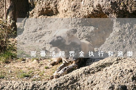 完善法院罚金执行和追缴赃款机制 完善法院罚金执行和追缴赃款机制