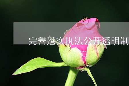 完善落实执法公开透明制度 完善落实执法公开透明制度