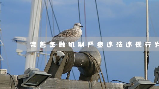 完善金融机制严查违法违规行为 完善金融机制严查违法违规行为