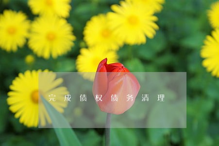 完成债权债务清理 完成债权债务清理