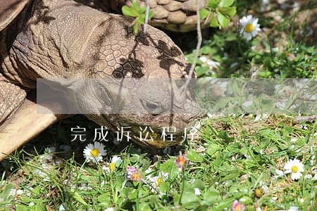 完成诉讼程序 完成诉讼程序