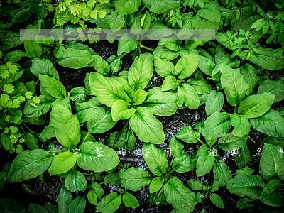 完整的信用卡逾期名单
