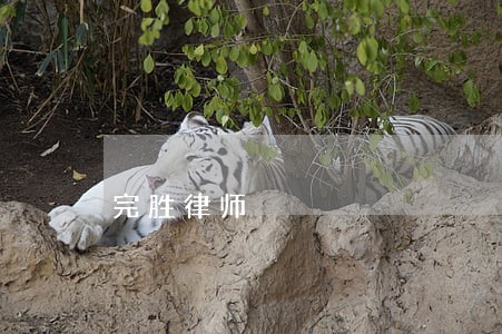 完胜律师 完胜律师