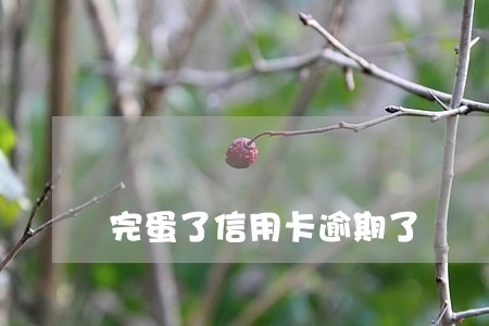 完蛋了信用卡逾期了