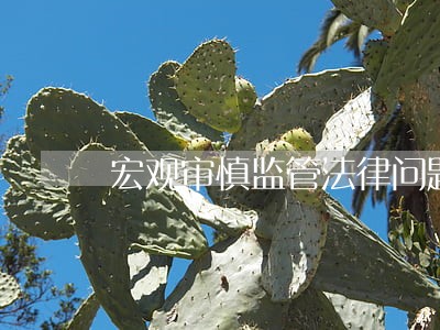 宏观审慎监管法律问题分析