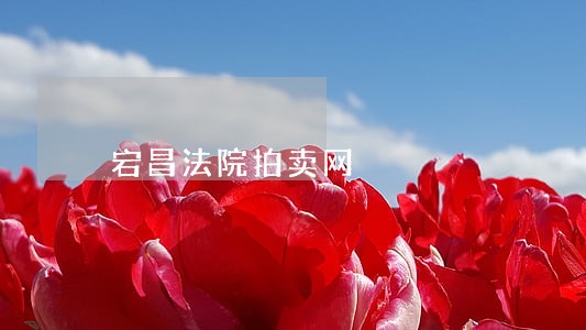 宕昌法院拍卖网 宕昌法院拍卖网