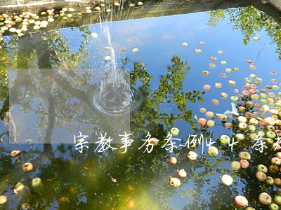 宗教事务条例44条规定