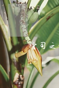 官司之前有诉讼费用 官司之前有诉讼费用